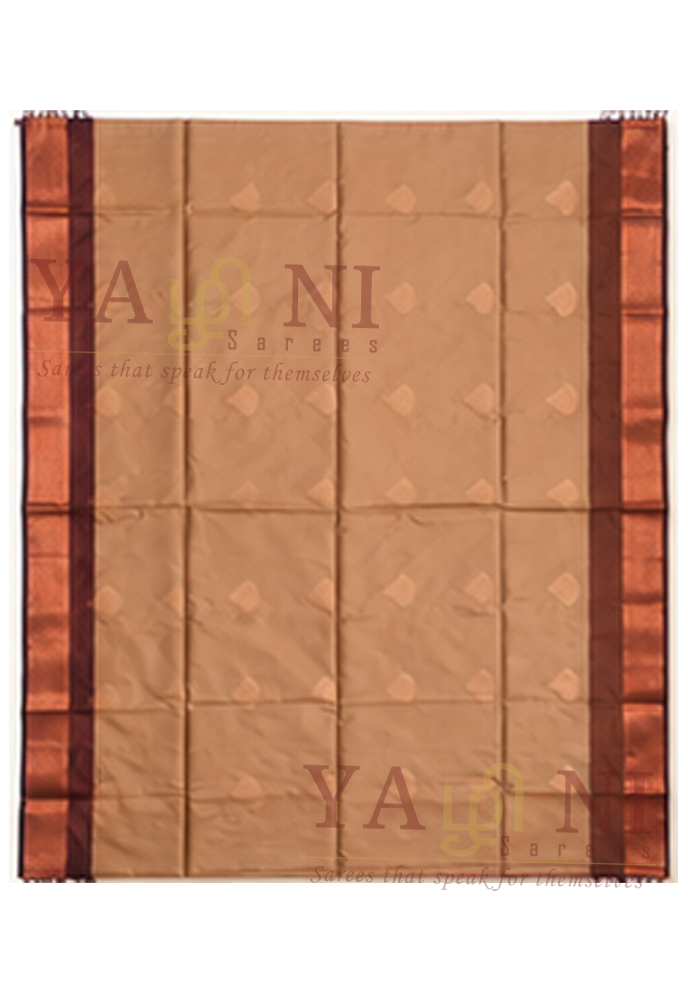 Coffee Brown Soft Silk Saree with Copper Zari Border - Image 2