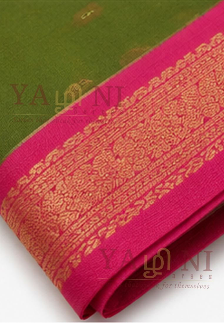 Olive Green & Rani Pink Traditional Cotton Saree with Gold Zari Border